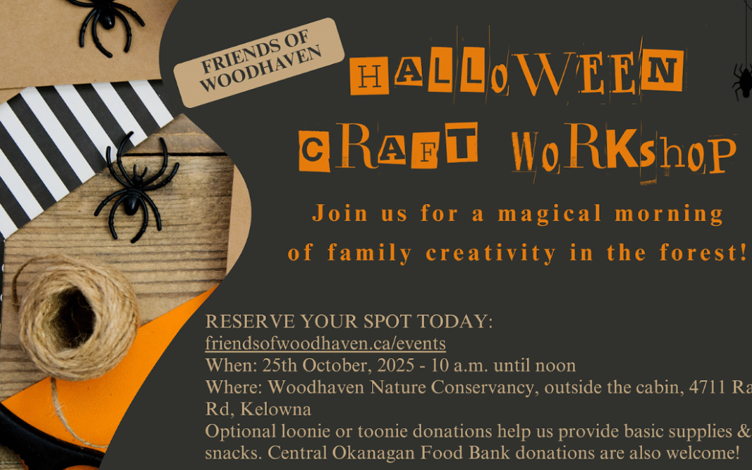 Wild Magic Hallowe’en Maker Morning
