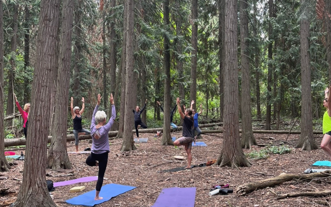 Fall Forest Yoga