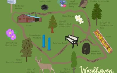 Wayfinding in Woodhaven – A Scavenger Hunt to Celebrate Spring!