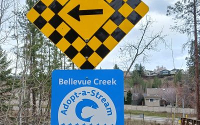 April is Bellevue Creek Clean Up Time!