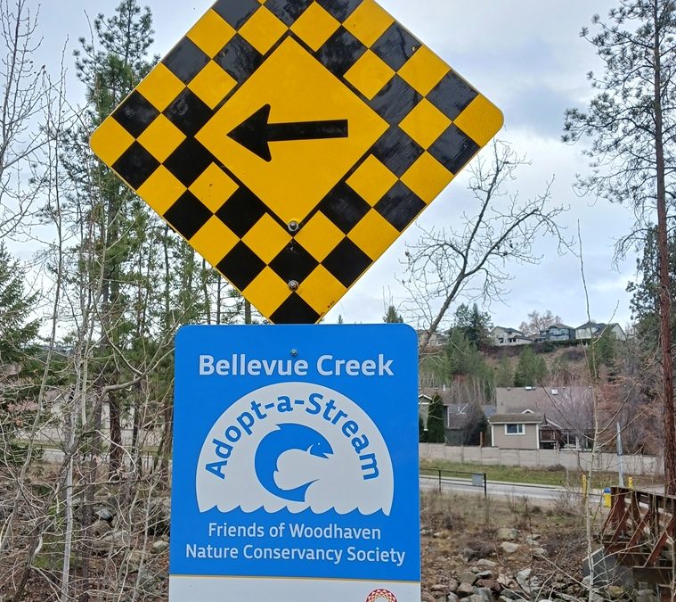 April is Bellevue Creek Clean Up Time!